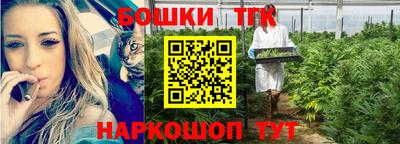 сатива Братск