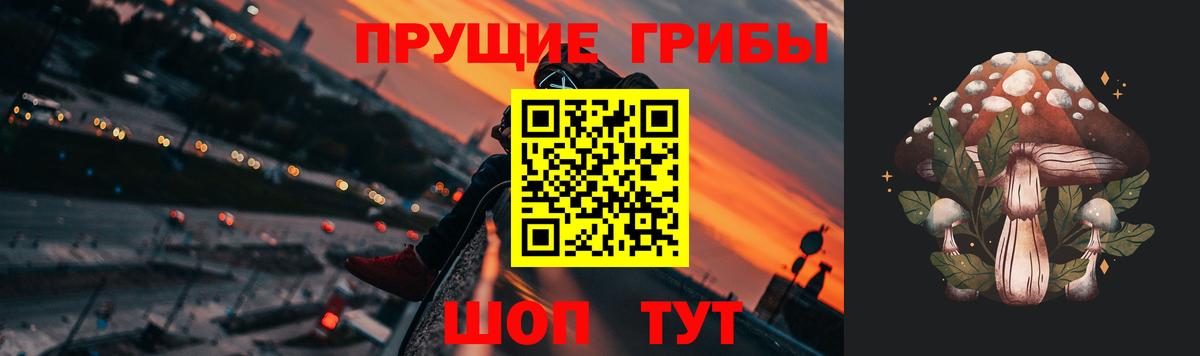 Галлюциногенные грибы Magic Shrooms  Галлюциногенные грибы ЛСД  Вход с VPN  Михайловск 